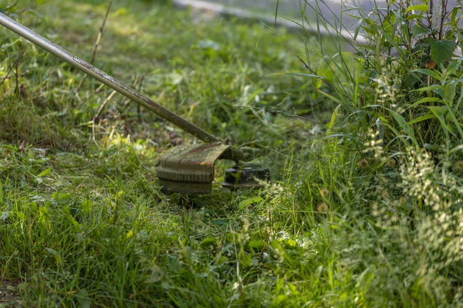 Motorna kosa razstavljena na delovni mizi